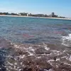 Gary ZIELINSKI🐾🐾🌀💤 - @garyz57 - TikTok