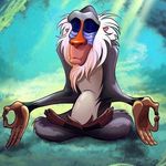 Gary Zell - @my.yogi.quest - Instagram