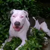 garyzeller - @garyzeller - TikTok