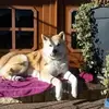 Gaby Zenker - @gaby.zenker - TikTok