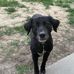 Gary Zent - Facebook