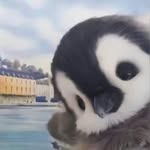 Gary Zhong - @zhongzn - Instagram