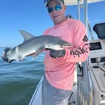 Gary Ziebell - @garyziebell - Instagram