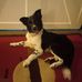 Gary Ziebell - Facebook