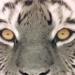Gaston Bachelier - @gastonbachelier - Instagram