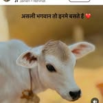 Gåüräv sïñghãl - @tera.yaar_gaurav0.2 - Instagram
