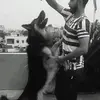 gomsy - @gautamkishore - TikTok