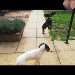 Gav Scott - @gevy87 - Instagram