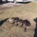 Gavan Smith - Facebook