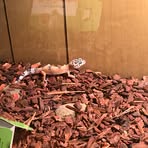 Gavin Abrams - Facebook