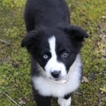 Gavin Abrams - @gavin_abramss - Instagram