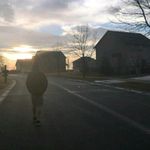 Gavin Adair - @gavinadair2 - Instagram