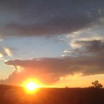 @gavin_ali222 - Instagram