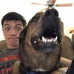 Gavin Allison - @catindehat - Instagram