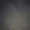 gavinallison6 - @gavin.allison - TikTok