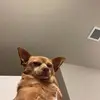 GavinAllison - @mackemjkpga - TikTok