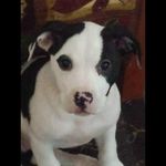 Gavin ames - @gavin_ames733 - Instagram
