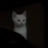 Gavin Andersen - @the.hobo.hobbit - TikTok