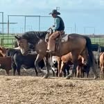 GAVIN ANTHONY MARSHMAN 🇺🇸 - @gmkowboy - Instagram