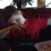Gavin Arnold  - @tristanarnold63 - TikTok