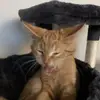 gavin - @ash.gavin - TikTok