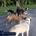@gavin_atkinson_8431 - Instagram