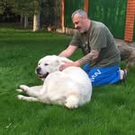 Gavin Barry - @gavin.barry.39566905 - Instagram