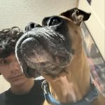 Gavin - @gavinbeanz - Instagram