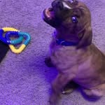 Gavin Beavers - @beavers.gavin - Instagram
