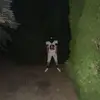 gavin_seeman0 - @gavin_seeman0 - TikTok