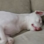 Gavin Berger - @bergergavin - Instagram