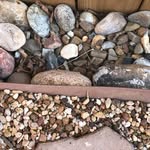 Gavin Bergman - @gavin_2322 - Instagram