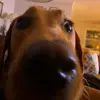 Gavin Bernard - @gavin.bernard - TikTok