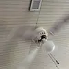 gavinbice595 - @gavinbice5958 - TikTok