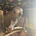 Gavin Bird - Facebook