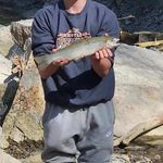 Gavin bishop - @gavinbishop629 - Instagram