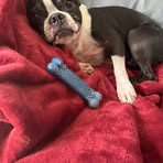 Gavin Bixler - Facebook