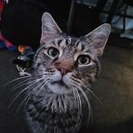 Gavin Blackburn - Facebook