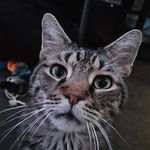 Gavin Blackburn - @g_vus2000 - Instagram