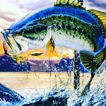 Gavin Bledsoe - @fish_for_life123 - Instagram
