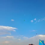 @gavinboucher366 - Instagram