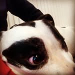 Tyron Gavin Bowden Martin - @tyron_739 - Instagram