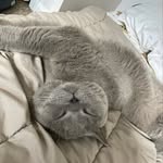 @gavinbowman2023 - Instagram