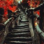 Gavin Boyle - Facebook