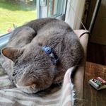 Gavin Boyles - @cargamesg - Instagram