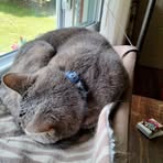 Gavin Boyles - Facebook