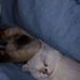 Gavin Bradshaw - Facebook