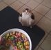 Gavin Bradshaw - Facebook