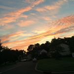 Gavin Bradshaw - @gavinbrad18 - Instagram