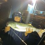 Gavin Brand - Facebook